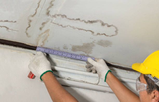 Reliable Structural Drying contractor in Ypsilanti, ND by Water Damage Irwin